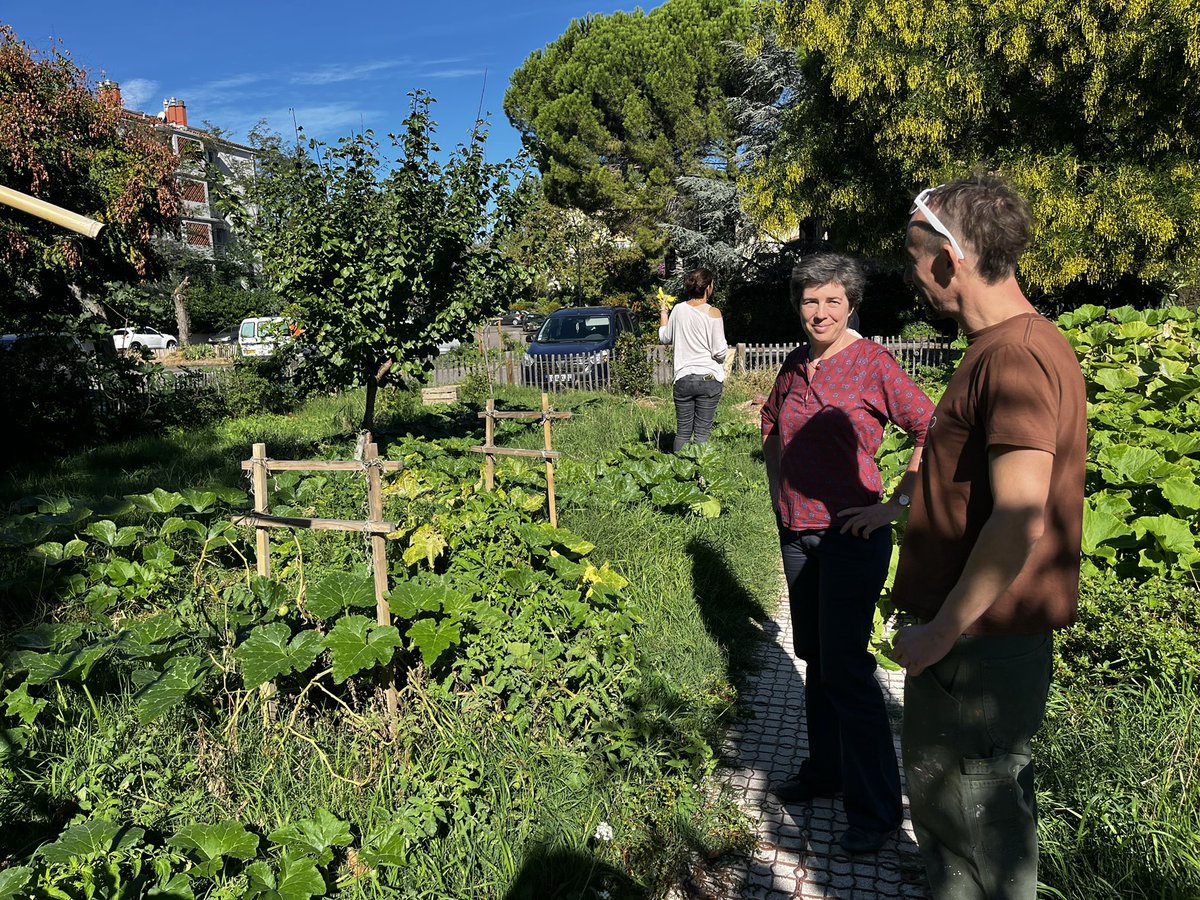 Marie Massart tweet media