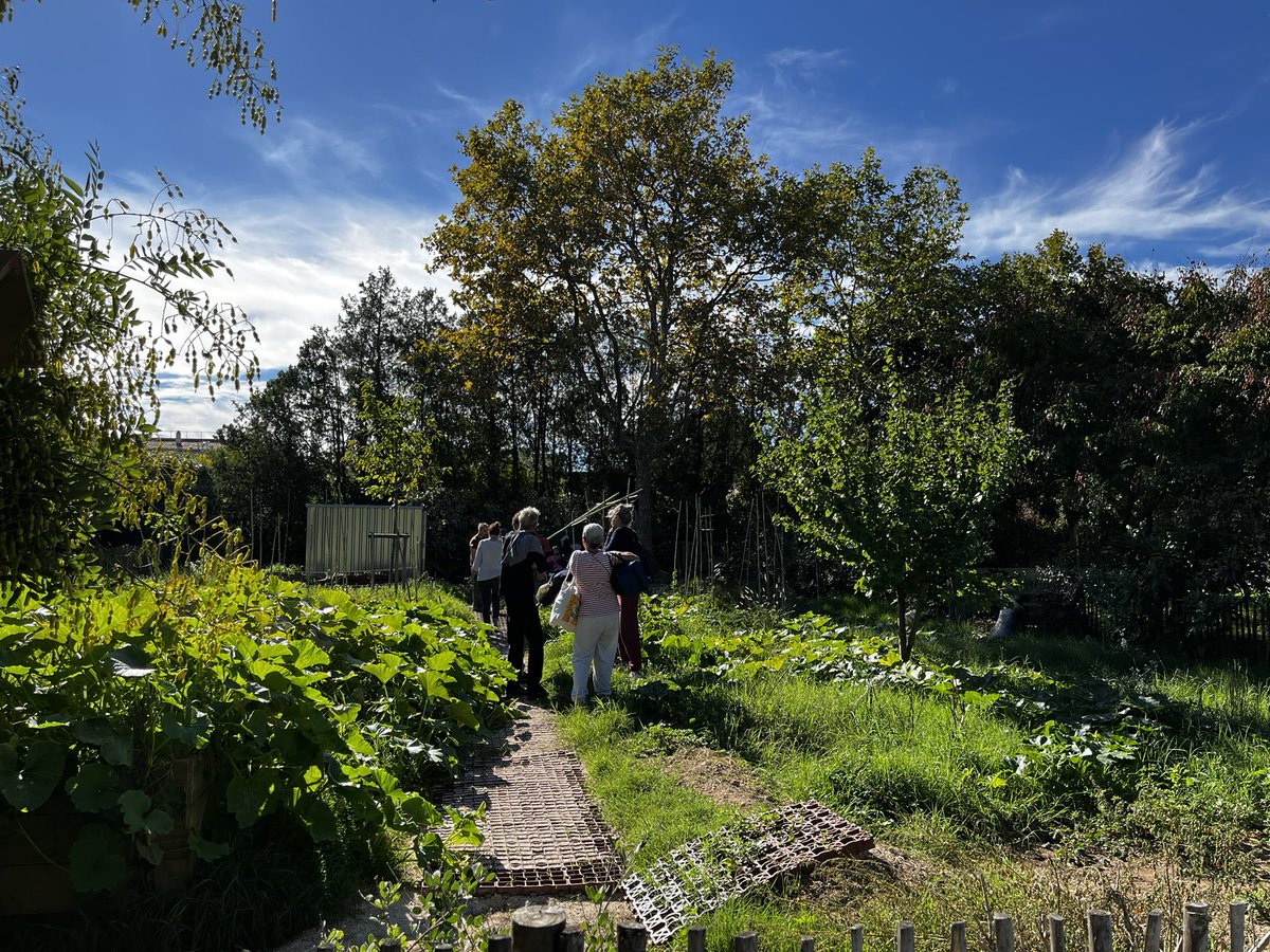 Marie Massart tweet media