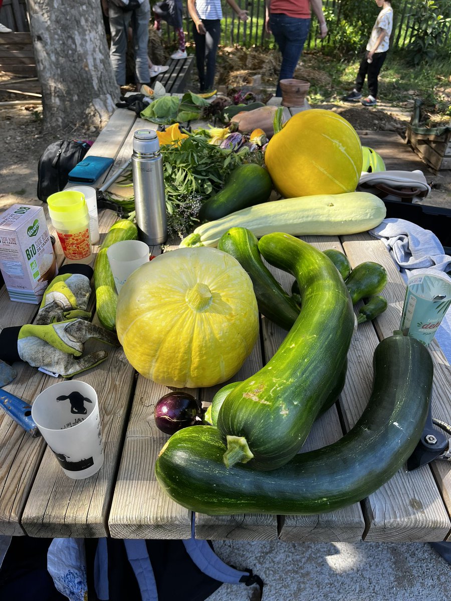 Marie Massart tweet media