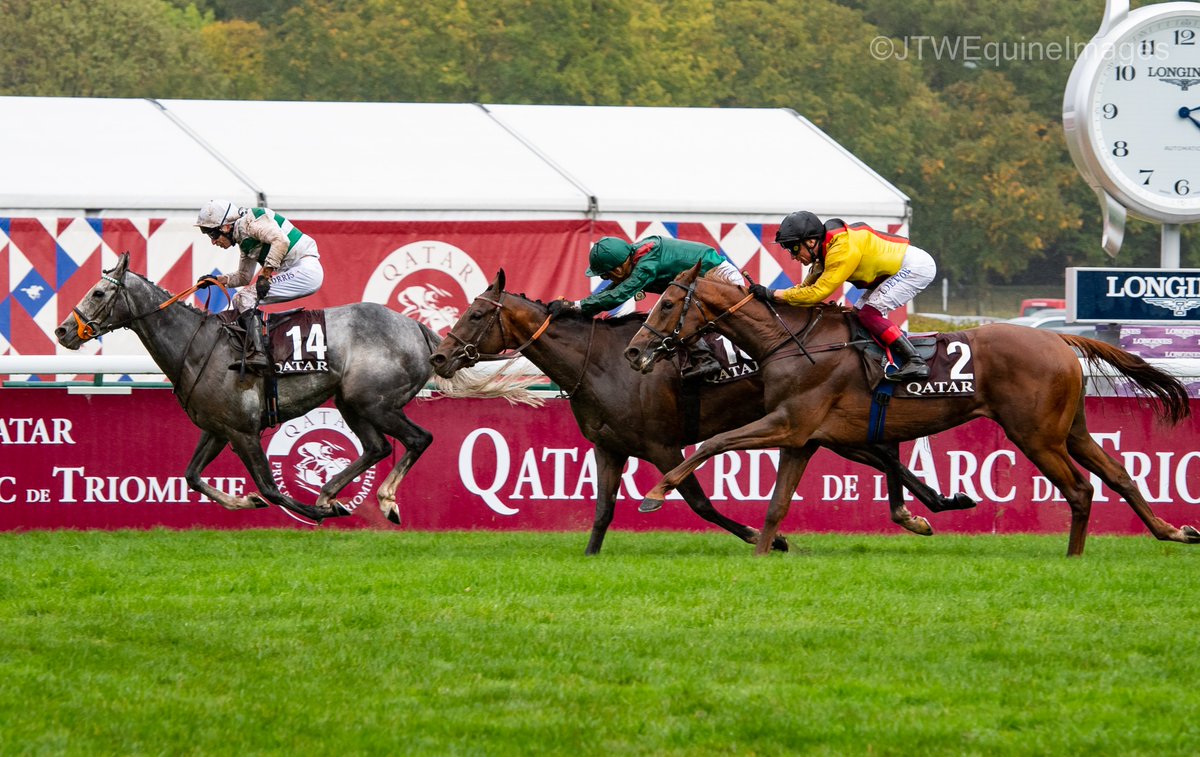JTWEquineImag's tweet photo. ALPNISTA and @Luke_Morris88 win the 2022 Qatar Prix de l'Arc de Triomphe @paris_longchamp for trainer Sir Mark Prescott and owner Madame Kirsten Rausing. #QPAT #ParisLongchamp #Alpinista https://t.co/VL9LReCWBr