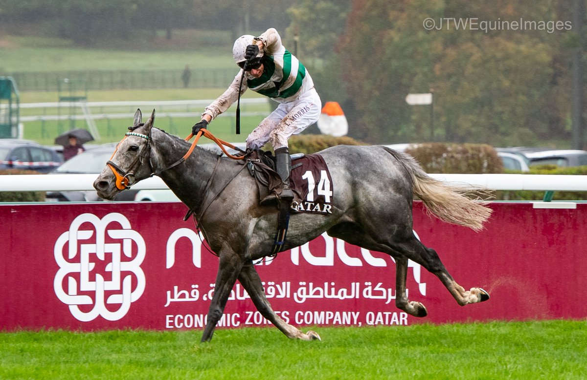 JTWEquineImag's tweet photo. ALPNISTA and @Luke_Morris88 win the 2022 Qatar Prix de l'Arc de Triomphe @paris_longchamp for trainer Sir Mark Prescott and owner Madame Kirsten Rausing. #QPAT #ParisLongchamp #Alpinista https://t.co/VL9LReCWBr