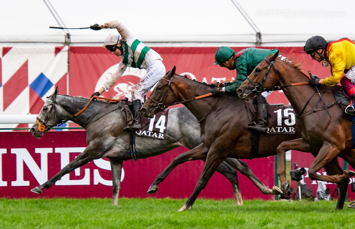 JTWEquineImag's tweet photo. ALPNISTA and @Luke_Morris88 win the 2022 Qatar Prix de l'Arc de Triomphe @paris_longchamp for trainer Sir Mark Prescott and owner Madame Kirsten Rausing. #QPAT #ParisLongchamp #Alpinista https://t.co/VL9LReCWBr