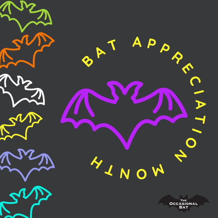 OccasionalBat's tweet photo. Did you know October is Bat Appreciation Month? Now you do. 🦇#batappreciationmonth #bats #bat #lovebats #staybatty #October #theoccasionalbat https://t.co/CGeCYEsGOc