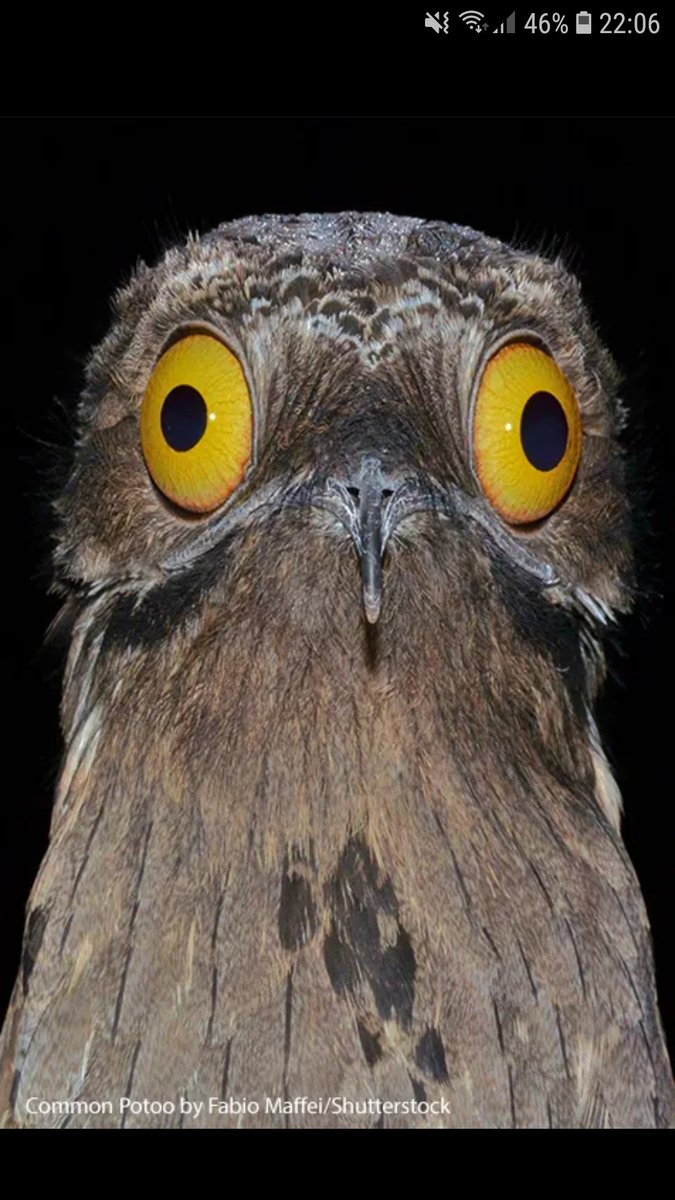 Daan Planting tweet media