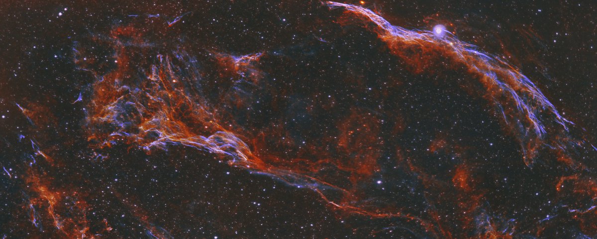 astrofoxx_'s tweet photo. Finally done with it,
2 Panel Mosaic of the Cygnus Loop in HOO
total of 19 hours integration time with a 480mm f/6 refractor
#cygnus #cygnusloop #astrophotography #nebula #telescope #supernova #space #hubble #nasa #red #blue #skywatcher #zwo #astronomy #hoo https://t.co/WA11hh7bOu