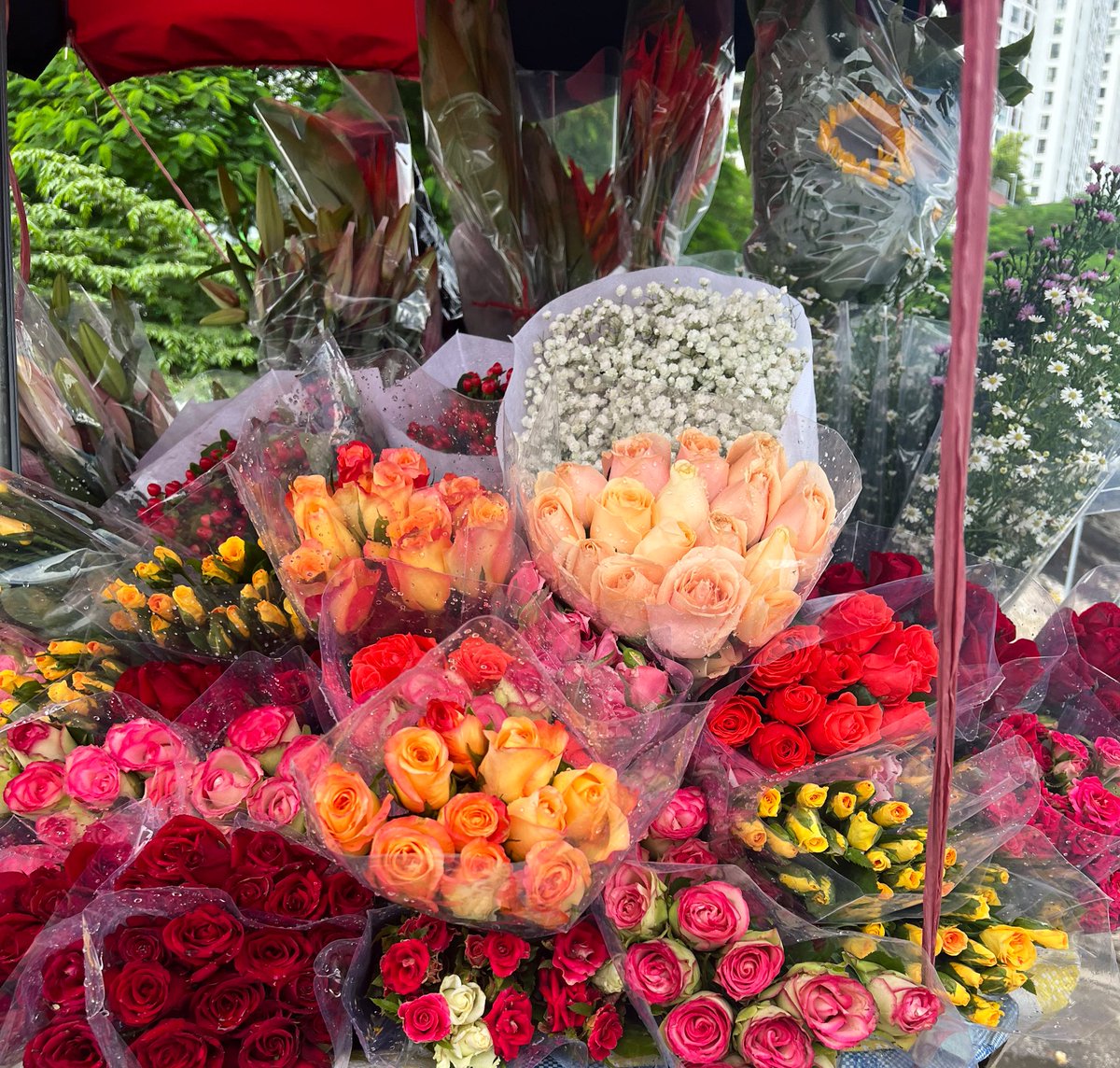 swakaze's tweet photo. Fresh beauty🌸有点后悔路过没有买一束 想着回家的时候再买结果回家的路没有花 https://t.co/8IhmOwDHau