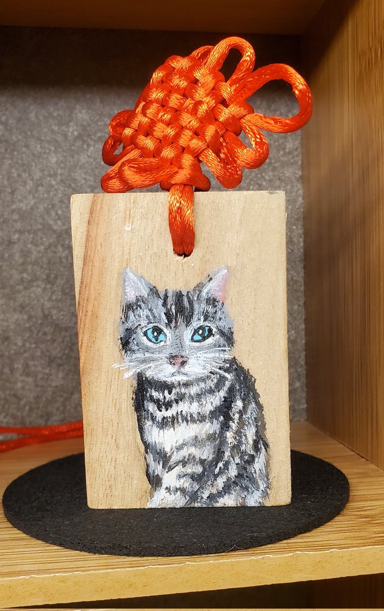 alwaysgo8's tweet photo. Today at the market, when I saw this blue-eyed kitten, I couldn't help but own it, because I am a big fan of Ellen DeGeneres's #blueeyes

#EllenDeGeneres #Portiaderossi #theellenshow
#Standup
#Ellensitcom #Legend #Iconic #idol
#QueenofdaytimeTV
#LGBTQ🌈 #rolemodel https://t.co/em4NOO9Z87