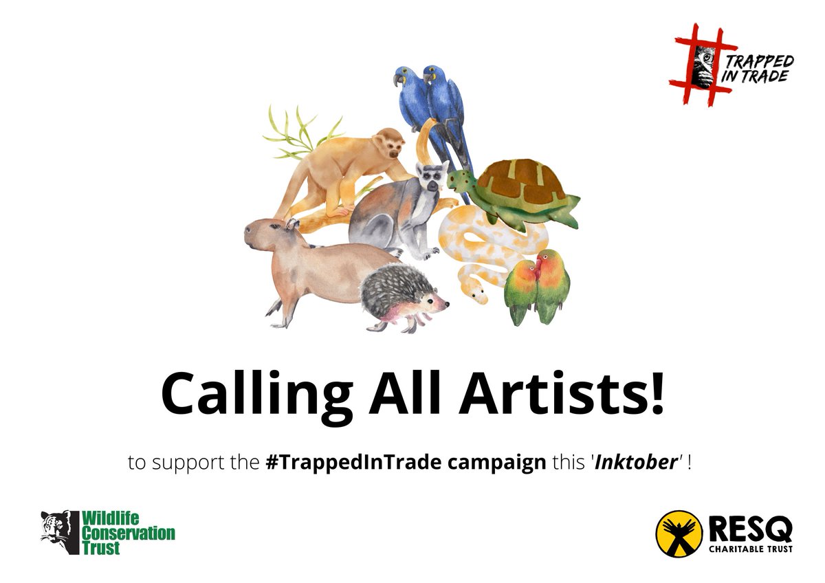 WCT_India's tweet photo. The Inktober Challenge is upon us! So how about using your pen, ink and that creative bone to support a good cause? @WCT_India , in partnership with @resqct , is running the #TrappedInTrade campaign. (1/n) https://t.co/HGwp1gCfv0