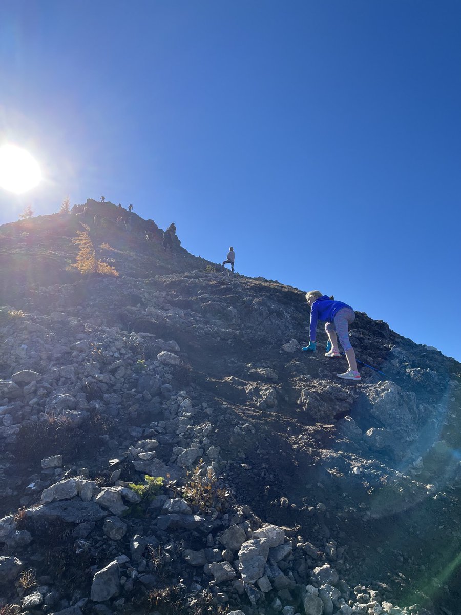 gert schrijver tweet media