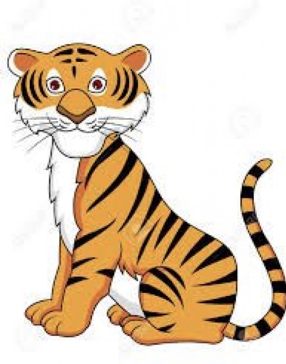 Rocco Tomazic tweet media