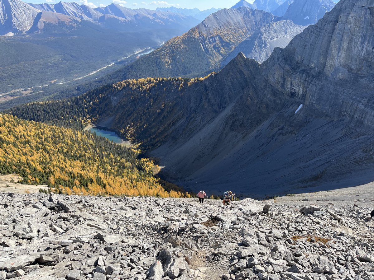 gert schrijver tweet media
