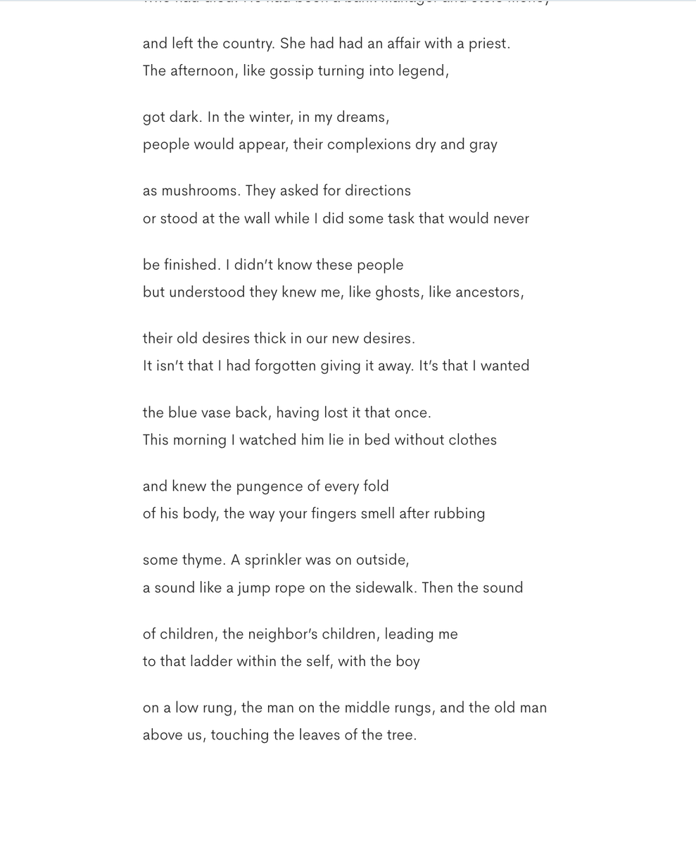 peter laberge 🌺 tweet media