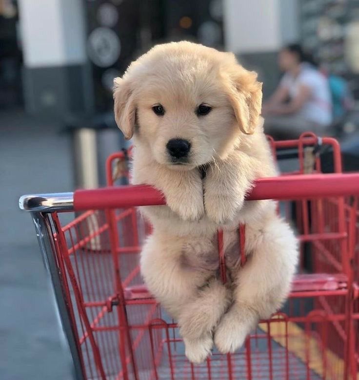 ยังม่ายถึงบ้านค้าบ