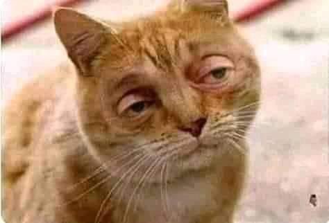 LexiousK's tweet image. Game ikatha yatha basi, osayankhulanaso za game.. tamvana eti