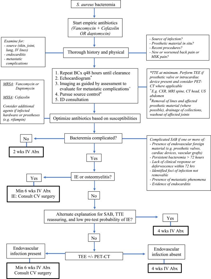 Antibiotic Steward Bassam Ghanem 🅱️C🆔🅿️🌟 tweet media