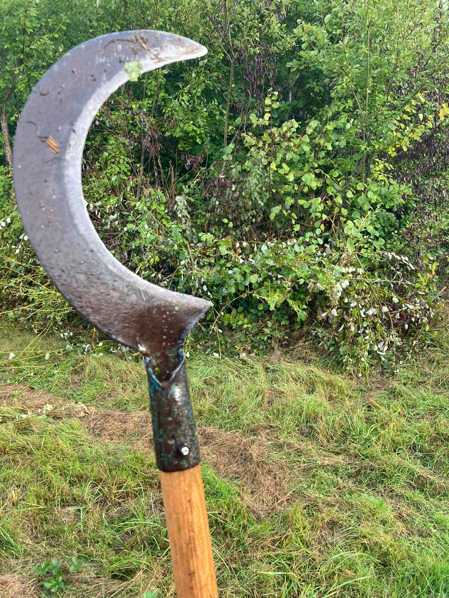 chasseurdedahut's tweet photo. On ne le répétera jamais assez.
Ceci est un gousat.
Poke @FrancAller_info https://t.co/XavHQGXQhp