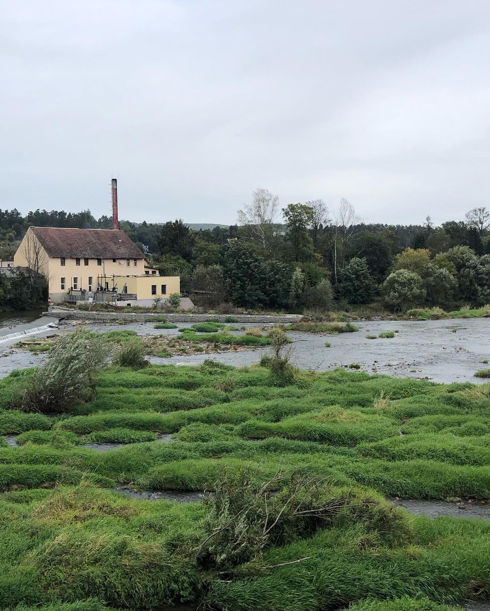 RowanP_86's tweet photo. Nice early afternoon spent in Revnice, just outside of Prague #Revnice https://t.co/6cvLG9R1YT