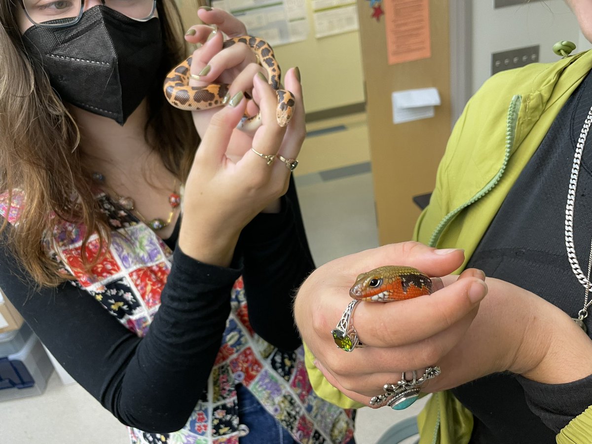 markowenmartin's tweet photo. It was nice to have some of my #SymbiosisUPS first semester students ask to visit #BabyCarl and #LadyAzula. @univpugetsound @ASMicrobiology https://t.co/0Hh5TpHqdO