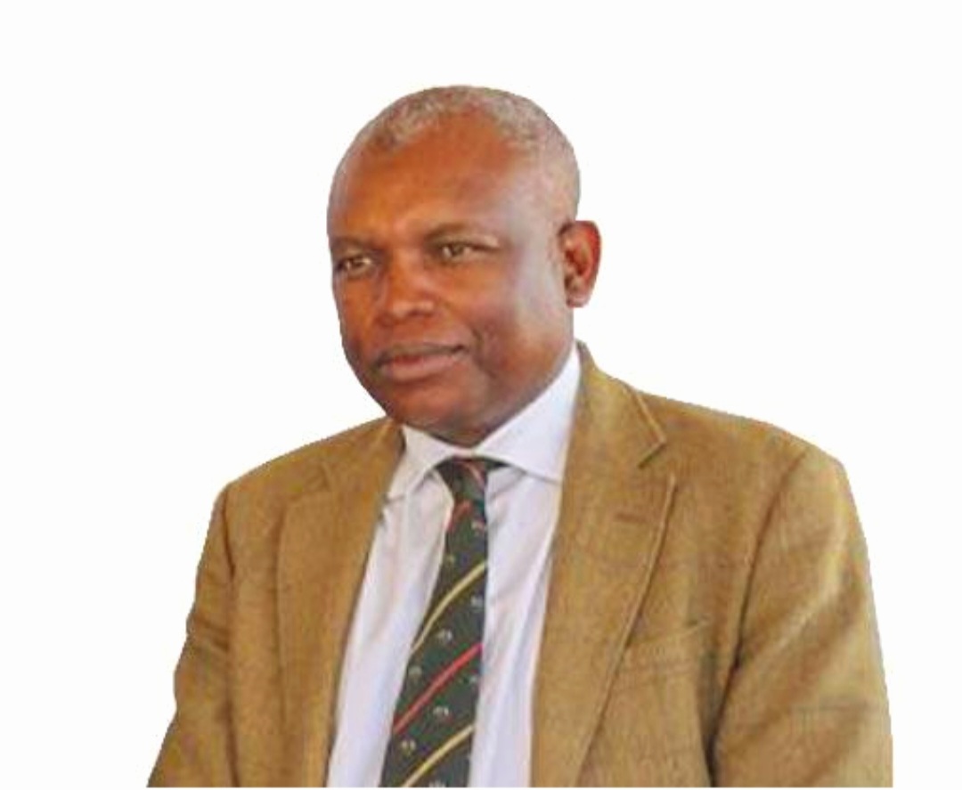 NewsHawksLive's tweet photo. President Emmerson Mnangagwa's son-in-law Gerald Mlotshwa – a prominent lawyer married to the Zanu PF leader's daughter Farai - has now formally bought a significant equity stake at the privately-owned media group Alpha Media Holdings (AMH) owned by local publisher Trevor Ncube. https://t.co/wcpj9g4gP9