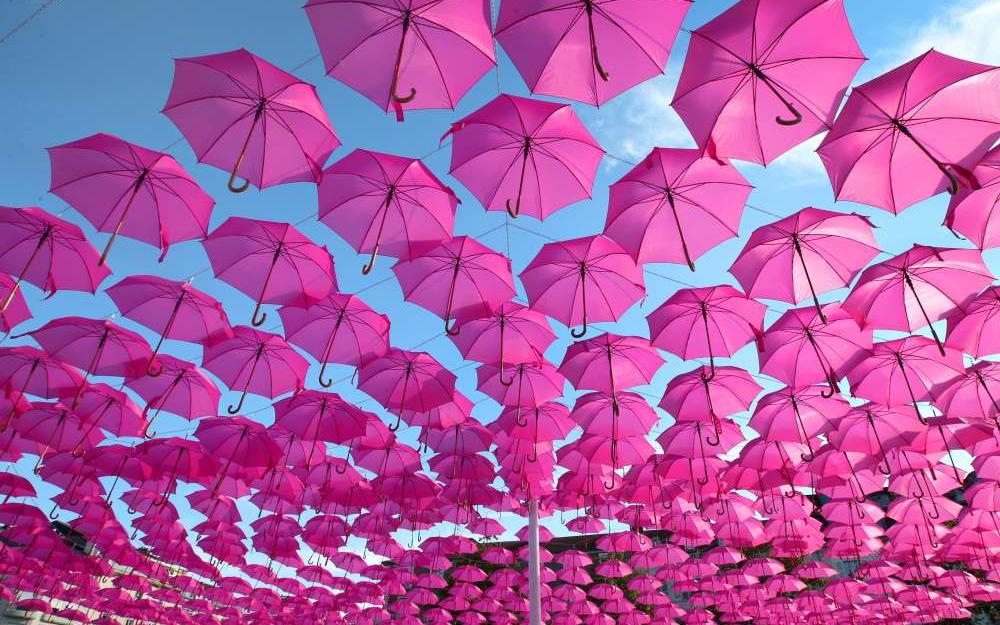 JeanickTarriere's tweet photo. #OctobreRose Le cancer du #sein est le plus répandu des #cancers féminins. 60 000 nouvelles personnes sont touchées chaque année. En octobre, sortez le parapluie, dépistez-vous. https://t.co/fFFBN8W4kf