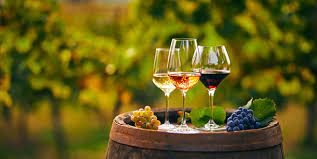 Welcome October! Cooler days, changing leaves, and gorgeous nights. Autumn is here, and we couldn't be happier about it! October tours are selling out fast, book yours today at greendreamtours.com. 
#winetour #wineries #wine #napa #sonoma #sanfrancisco #winetasting #tourism