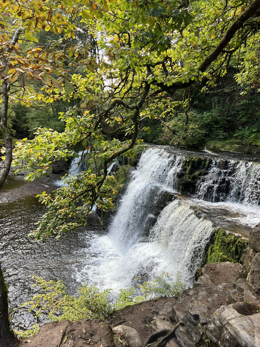 SColesPorter's tweet photo. Gwaun cefnygarreg - Ystradfellte - Four Falls trail. Absolute Killer 😬♥️
One of the rare places where you can stand under a waterfall! The sound is deafening, but it’s incredible and takes your breath away.
#BreconBeacons #FourFalls #Wales #SoloHiking 💪🏽🏴🥾 https://t.co/tUnp55zTh2