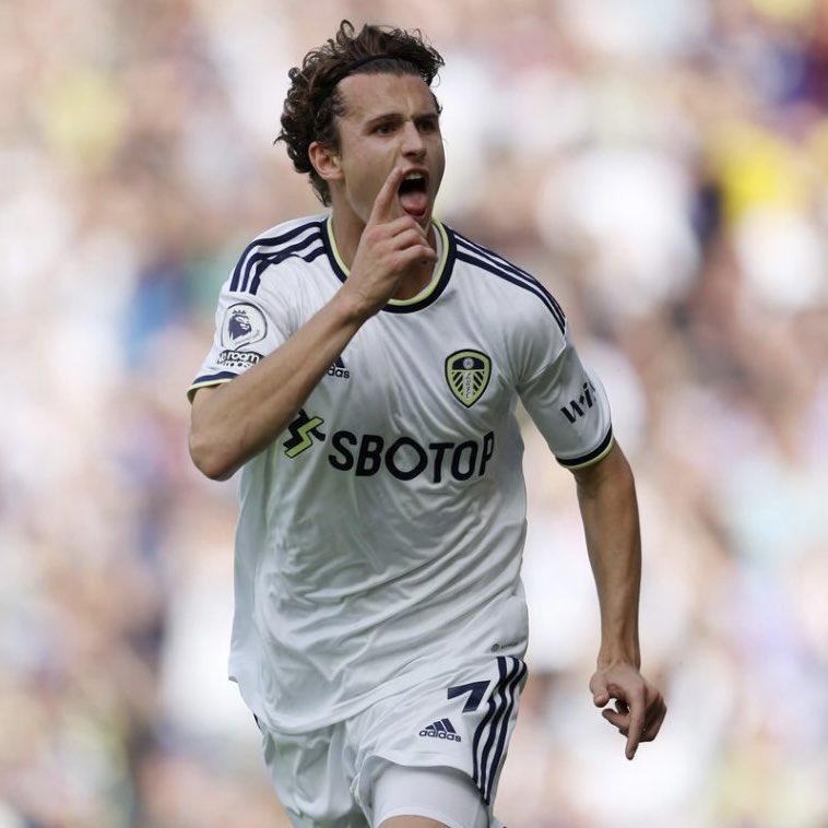 WHITE HART tweet media