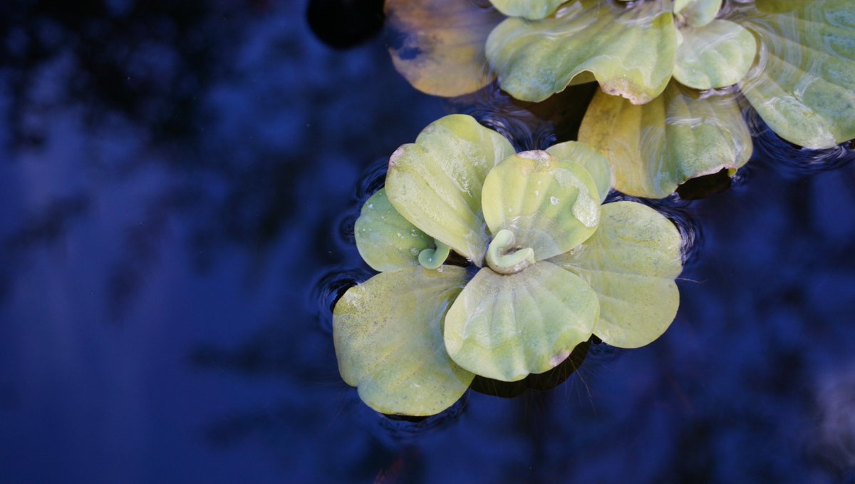 sonja keller 🐦 tweet media