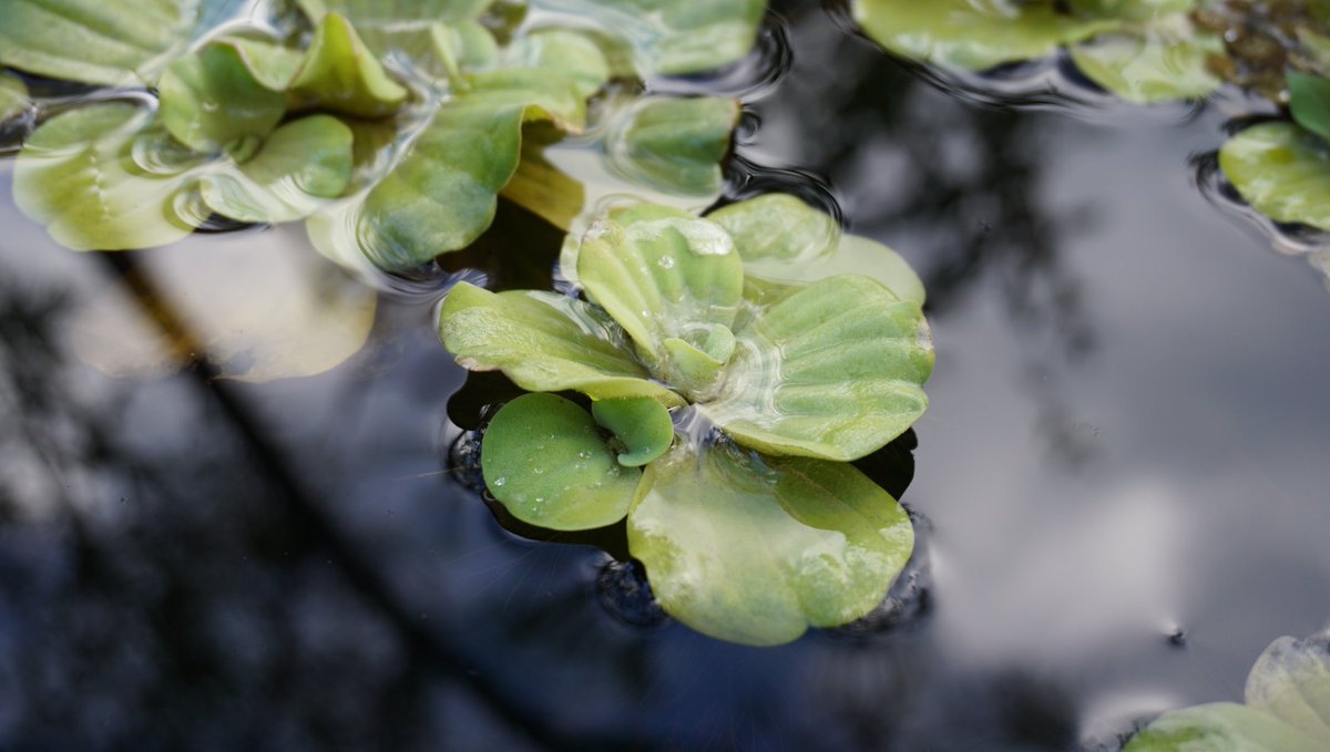 sonja keller 🐦 tweet media