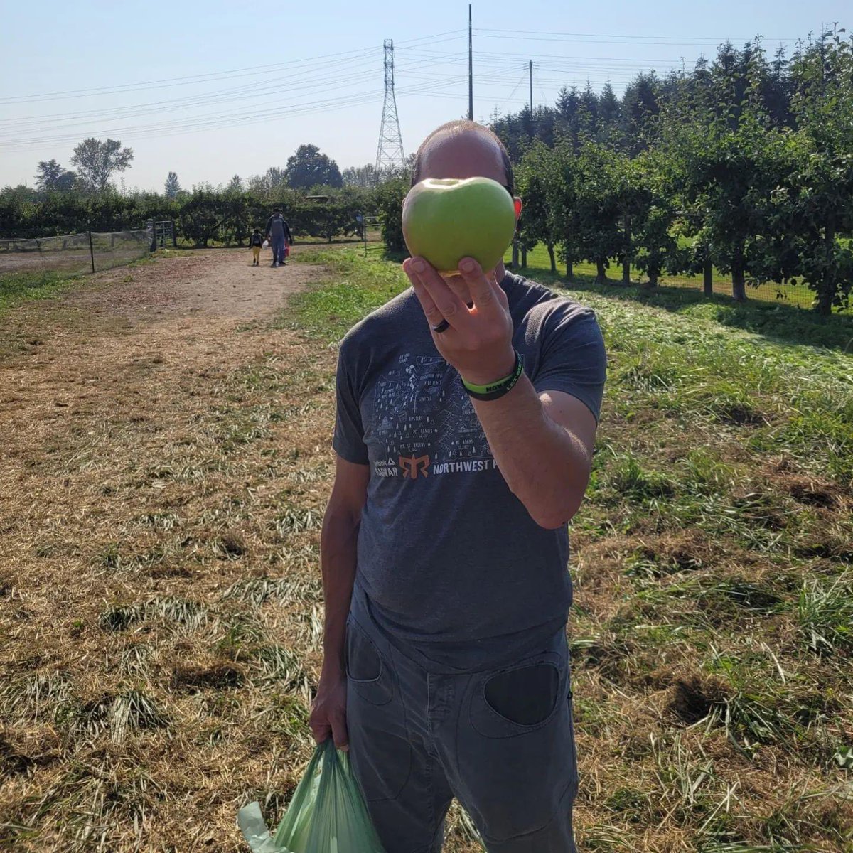 aikithoughts's tweet image. In other news, got to go apple picking.