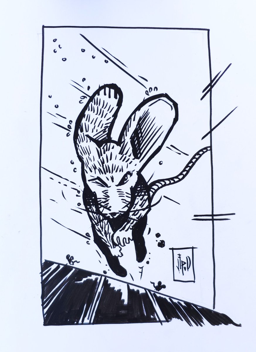 Jeroen van Doornik tweet media