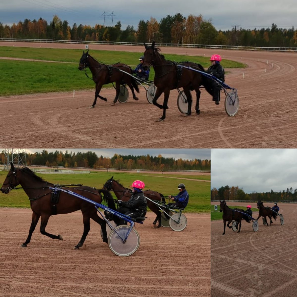 FalinHanna's tweet photo. #ravit #harrastus #circustabac #callelavipline https://t.co/N43n0iNv4d