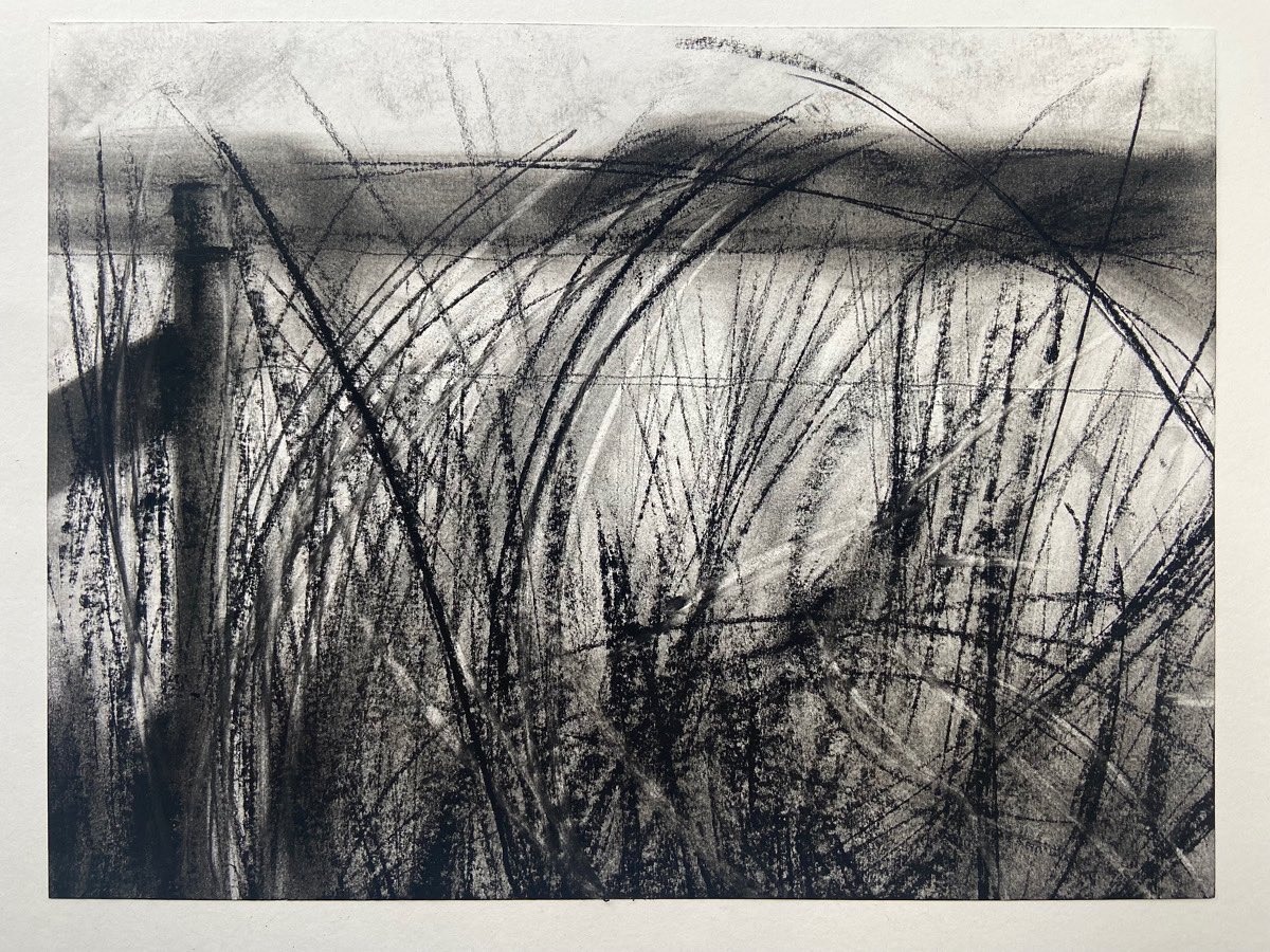 f i e l d   b o u n d a r y

charcoal drawing from source image, 400x300mm

#charcoaldrawing
#worksonpaper
#markmaking 
#ecologicalart
#observationaldrawing
#naturedrawing
#fieldboundary
#hedgerow