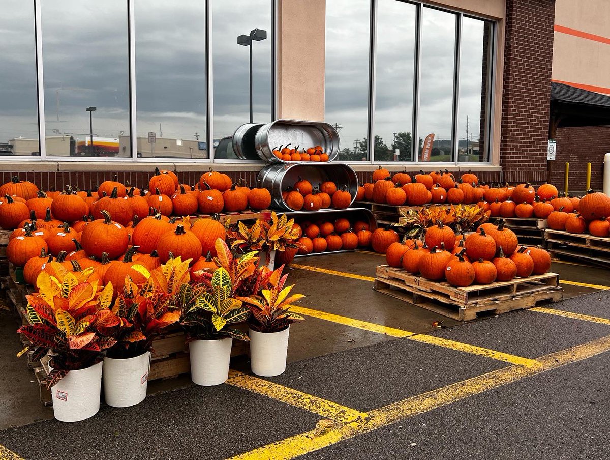 Pumpkins Everywhere!! Come visit us in D28 at the Smyrna Home Depot for all your pumpkin and fall decorating needs! We have pumpkins, mums, and corn stalks!!! <a href="/CoveredwIcing/">Just Heather</a> <a href="/THDAlex1/">THD_Alex</a> @BlakeOlivierHD