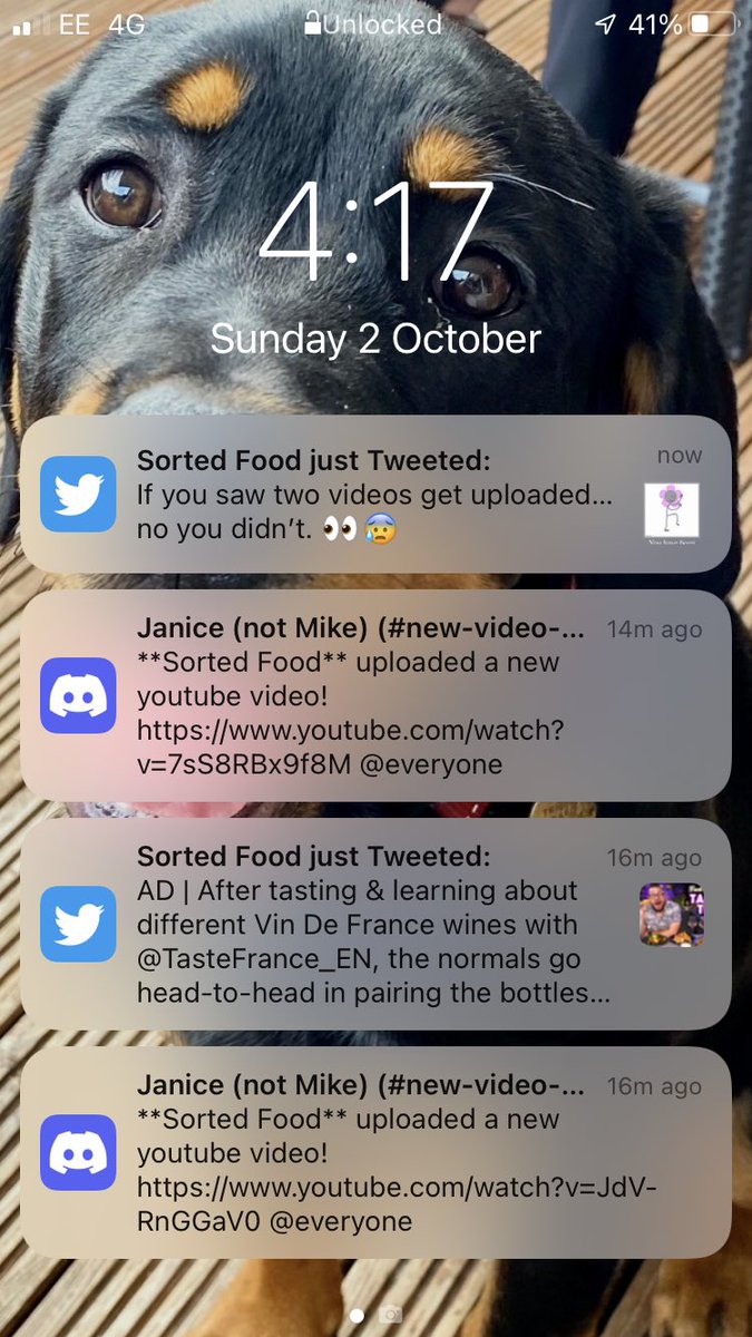 _GeorgiaMay13's tweet photo. @sortedfood 🤔 https://t.co/hyWsicqKLa