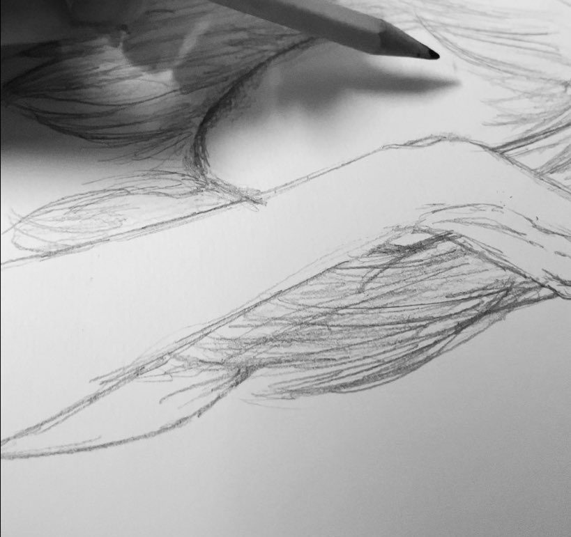 6 (@sesik99) on Twitter photo 