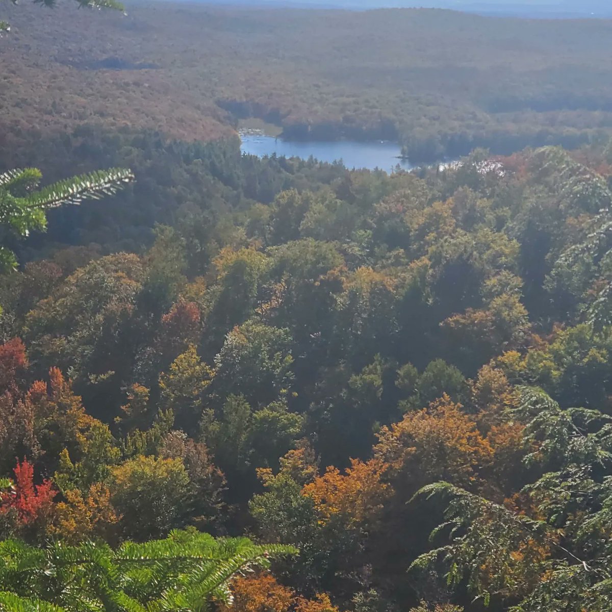 CusanoWeather's tweet photo. Had a great hike yesterday with some people from @osscams https://t.co/KYKUcN5Jmy
