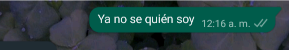 Yo después de tomar cerveza y tequila