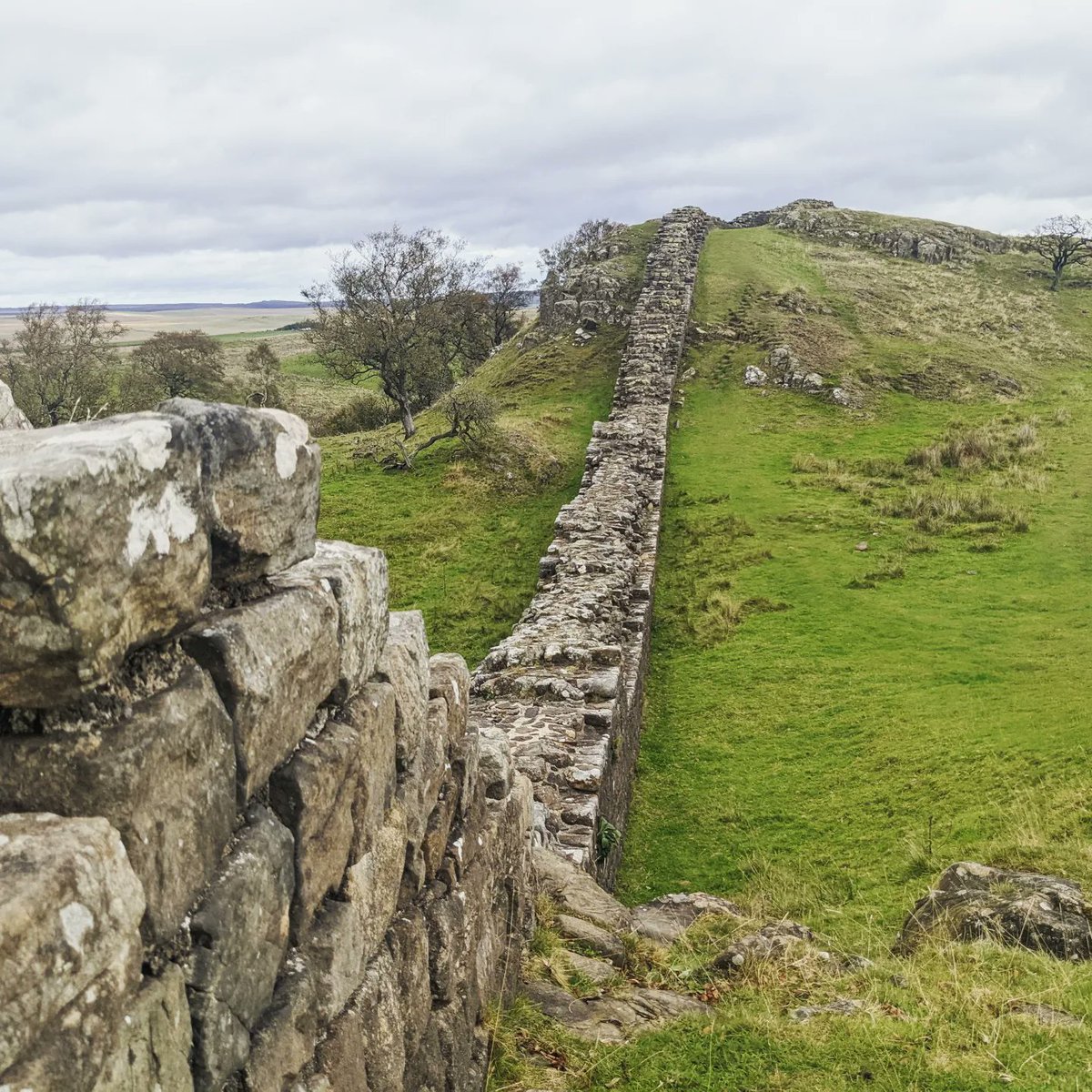 Ashley Bell tweet media