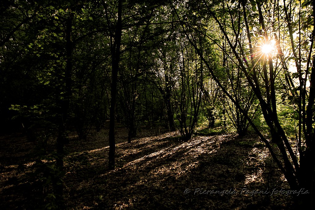 Di nuovo chiaro il cielo, denso di colori, ritrovo parole nel viaggio verso sera, come incanto e meraviglia. Di nuovo, vola un pensiero che sà di buono. #sensazionipoetiche.