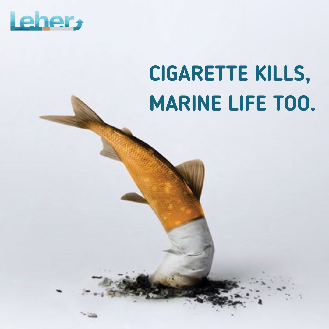ProjectLeher's tweet photo. An irresponsibly flicked cigarette butt pollute more than 500L of water and releases 7000 toxins into the ocean, often leading to biomagnification, and proving to be fatal for the marine life!
#ocean #ClimateAction #marinelife #cigarettes 
@oceana @OurOcean @TheOceanCleanup @UNEP https://t.co/mg3WqJnlAC