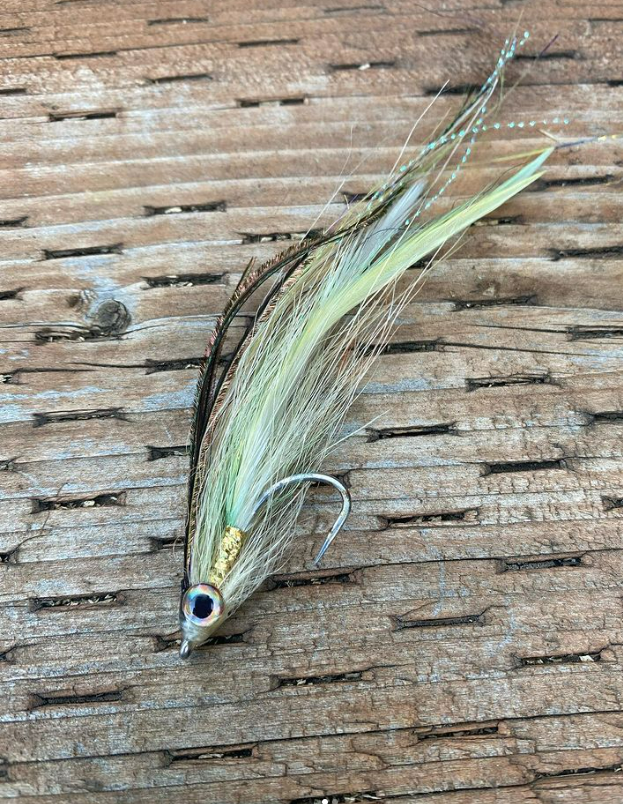 Saltwateronfly's tweet photo. Love the gold body, great flash
@seafly907
Another favorite flatwing of mine containing 4 feathers off saddles I dyed. #searuncutthroat already and is still in great shape. #fishing #flyfising #flytying #seatrout #saltwaterflies #saltwaterflyfishing https://t.co/Ex8APb7b5e