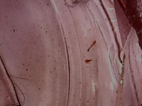 cecarnicom's tweet photo. Morgellons Toxicity – A Continued Report
https://t.co/nu6GDiCpay https://t.co/l6JFEBNSFz