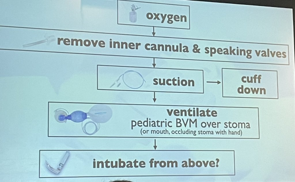 Baystate Emergency Medicine tweet media
