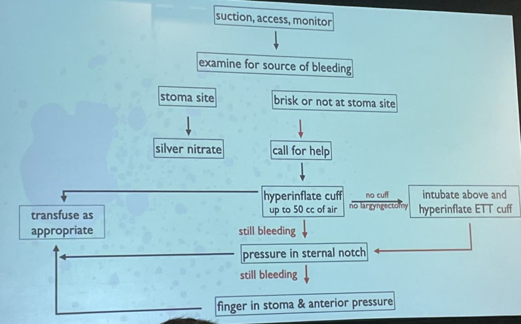 Baystate Emergency Medicine tweet media