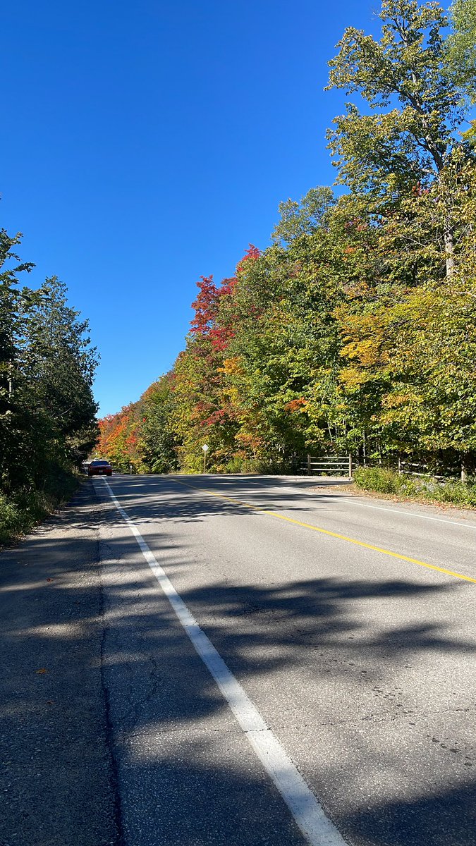 Desde aquí los leos. 🍁🍂🍃