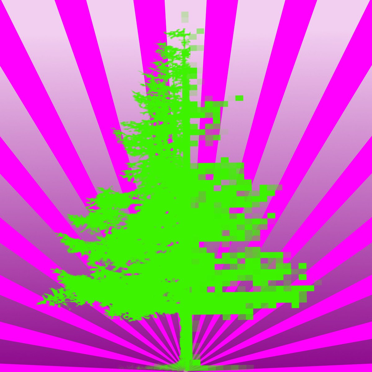 trees4eternity's tweet photo. @BozTheBearNFT 👊Get an exclusive #NFT 🔗linked to a
👊forever protected 32sqm piece of forest🌲
👊that sequesters as much CO2 as a return✈️BER-JFK causes!
👊Help mitigate #ClimateDisruption
👊Lower your carbon👣

👀 https://t.co/9EurAB5sQY

#Sustainability #NFTCommunity #nftcollector #NFTs https://t.co/XNHMIgftJC