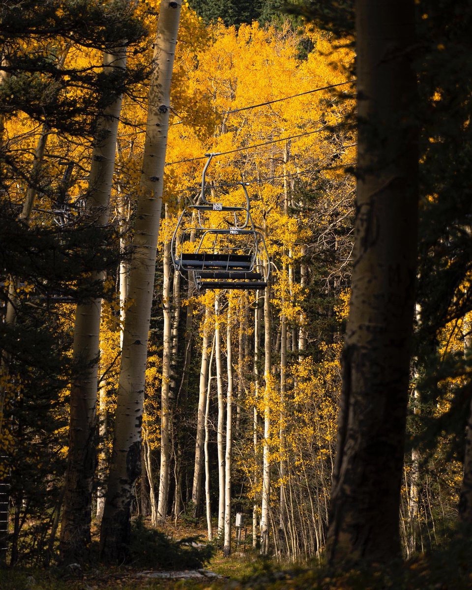 SkiSantaFe's tweet photo. Get outside today &amp; take a ride on the chairlift, hike in the Santa Fe National Forest, check out the Sports Shop sale, take a break &amp; have a bite to eat &amp; a beer on the deck &amp; enjoy live music with the Troy Browne Band, all while surrounded by the beautiful fall colors! https://t.co/8AWeXli4qQ