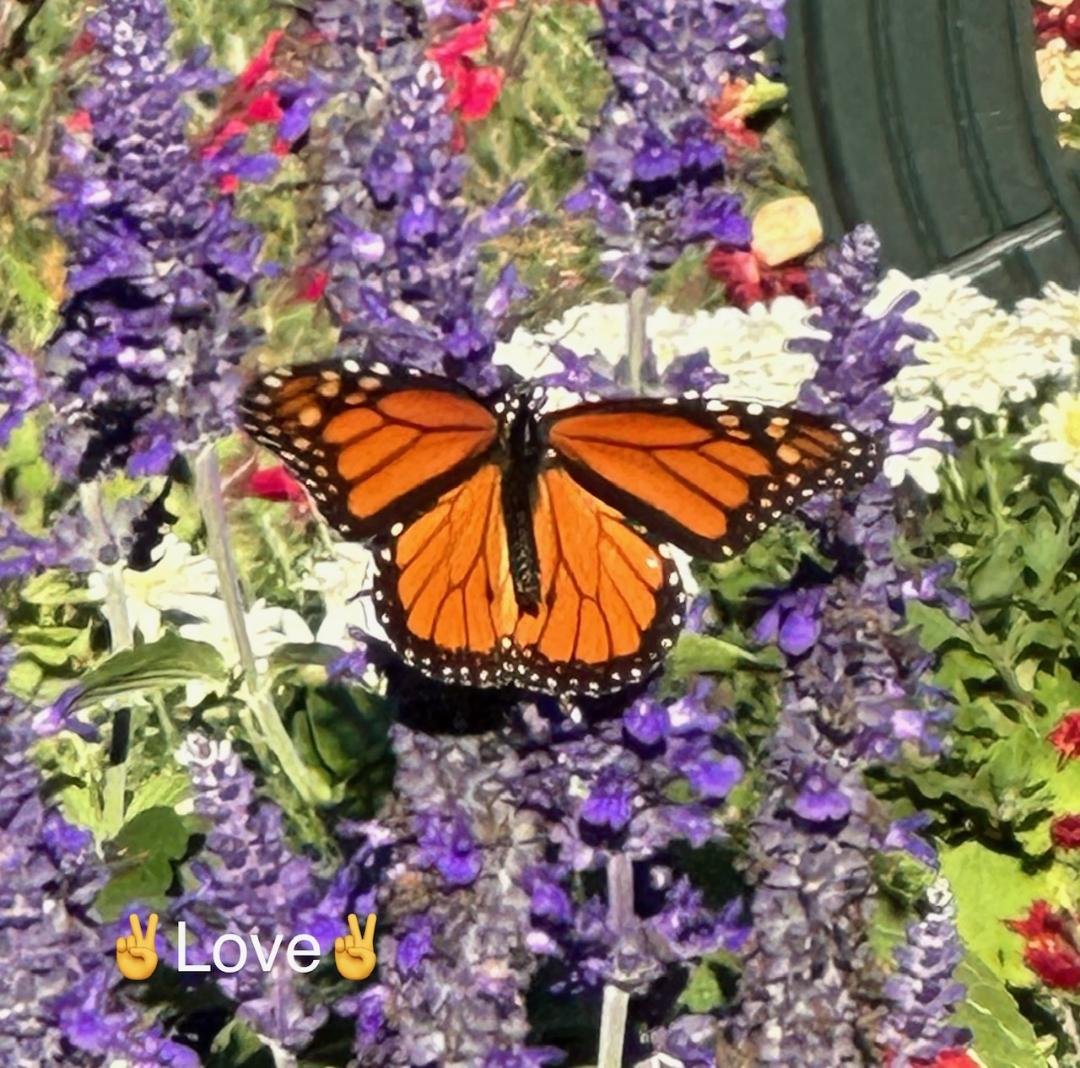 Dugby5's tweet photo. On behalf of my dad, I wanted to let you all know that sadly, he passed away Friday evening peacefully in his home. He seemed to be doing better healthwise and had just been to the gardens the day before. I know he loved all his twitter friends! He was a great Dad! We loved him! https://t.co/OLVfUt832l