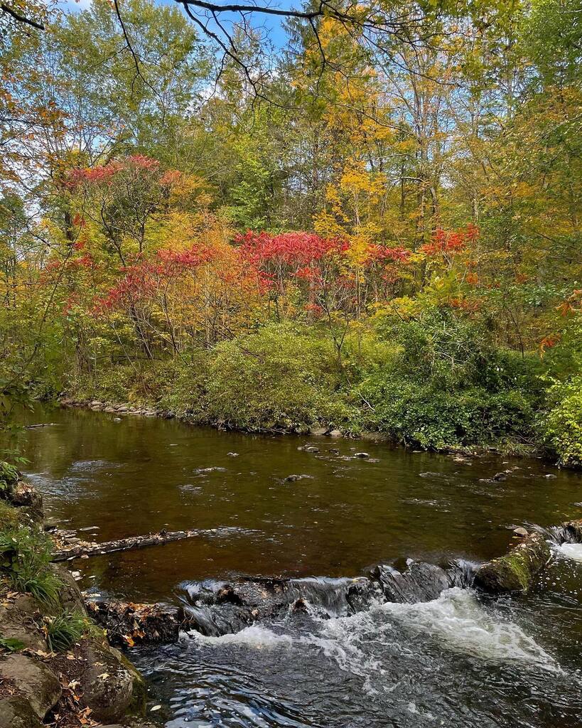 KevinMontano's tweet photo. Sunday trail therapy. 

#optoutside #runchat #seenonmyrun #5run8 #trailrunning #saratogaspastatepark #nysparks #iloveny #runinrabbit #shokzsquad https://t.co/qgedawvm2g https://t.co/lTgV9htKio